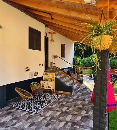 Casa Bunicului Șuncuiuș